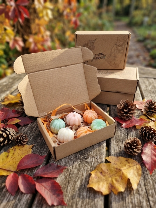 Coffret fondants automne